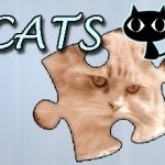 Постер игры Пазл: Кошки | Jigsaw Puzzle Cats